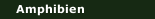Amphibien
