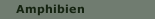Amphibien